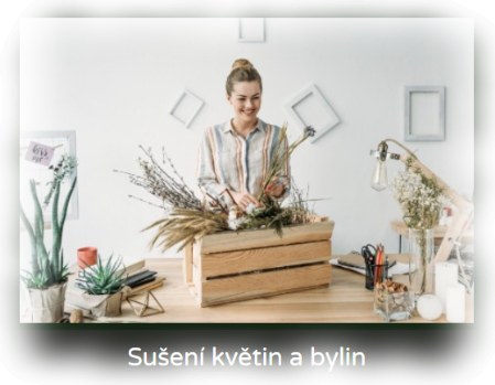 Sušení květin - Foggystop